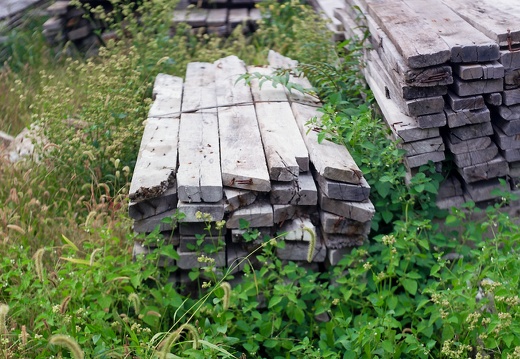 POld Wood Piles